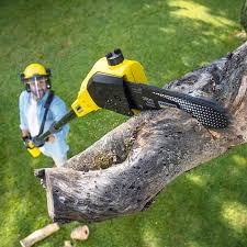 Best Utility Line Clearance  in Valencia, NM