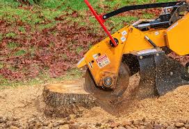  Valencia, NM Tree Care Pros